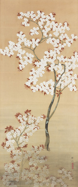 琳派展24「抱一に捧ぐ ―花ひらく〈雨華庵〉の絵師たち―」 | 京都で遊ぼ